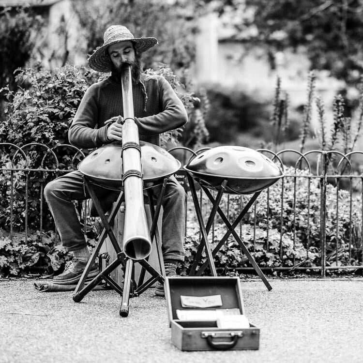 Brighton Pavilion Gardens