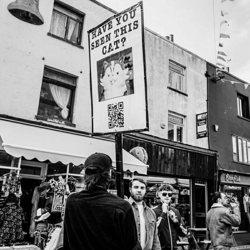 Have you seen this Cat? Have you seen this Cat - Summer 2022 - Brighton Street Photography