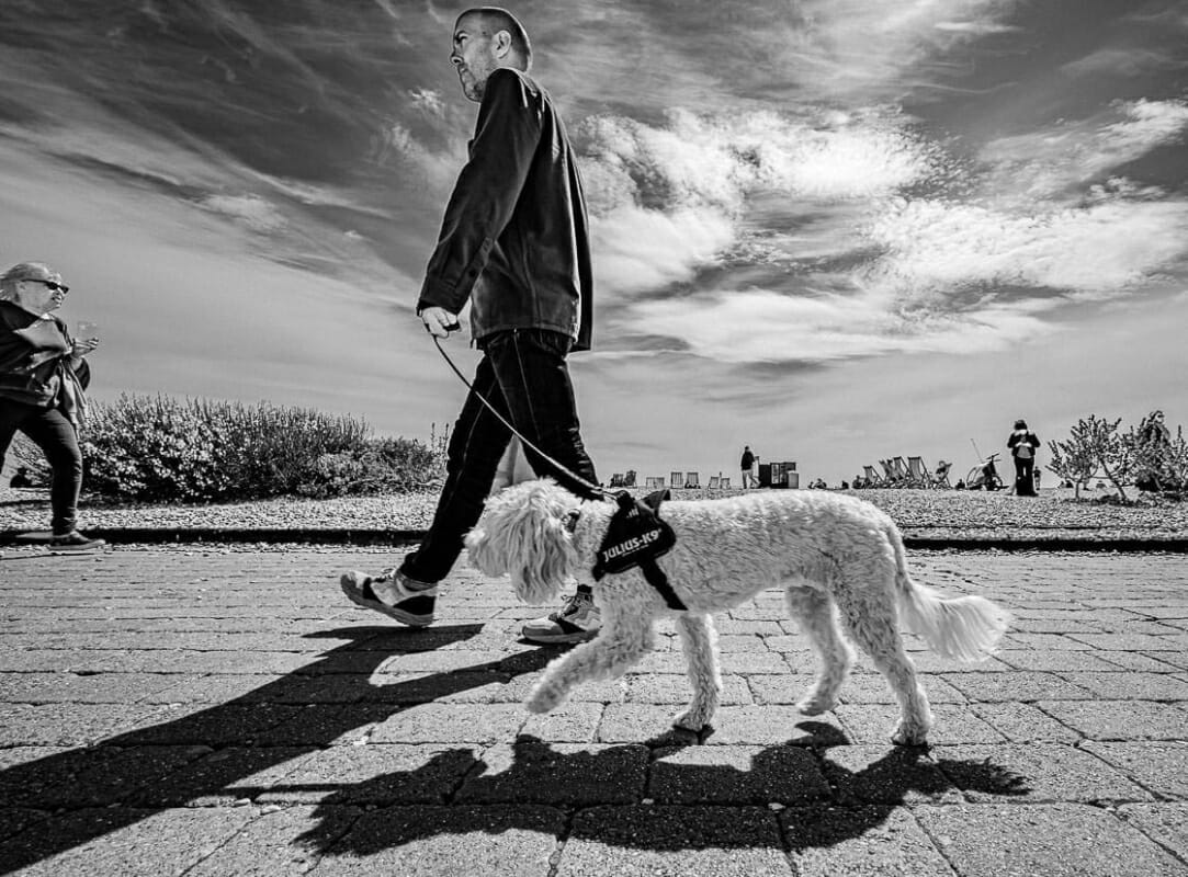Walking the Dog Walking the Dog - Brighton Street Photography - Beach and Seafront 2020