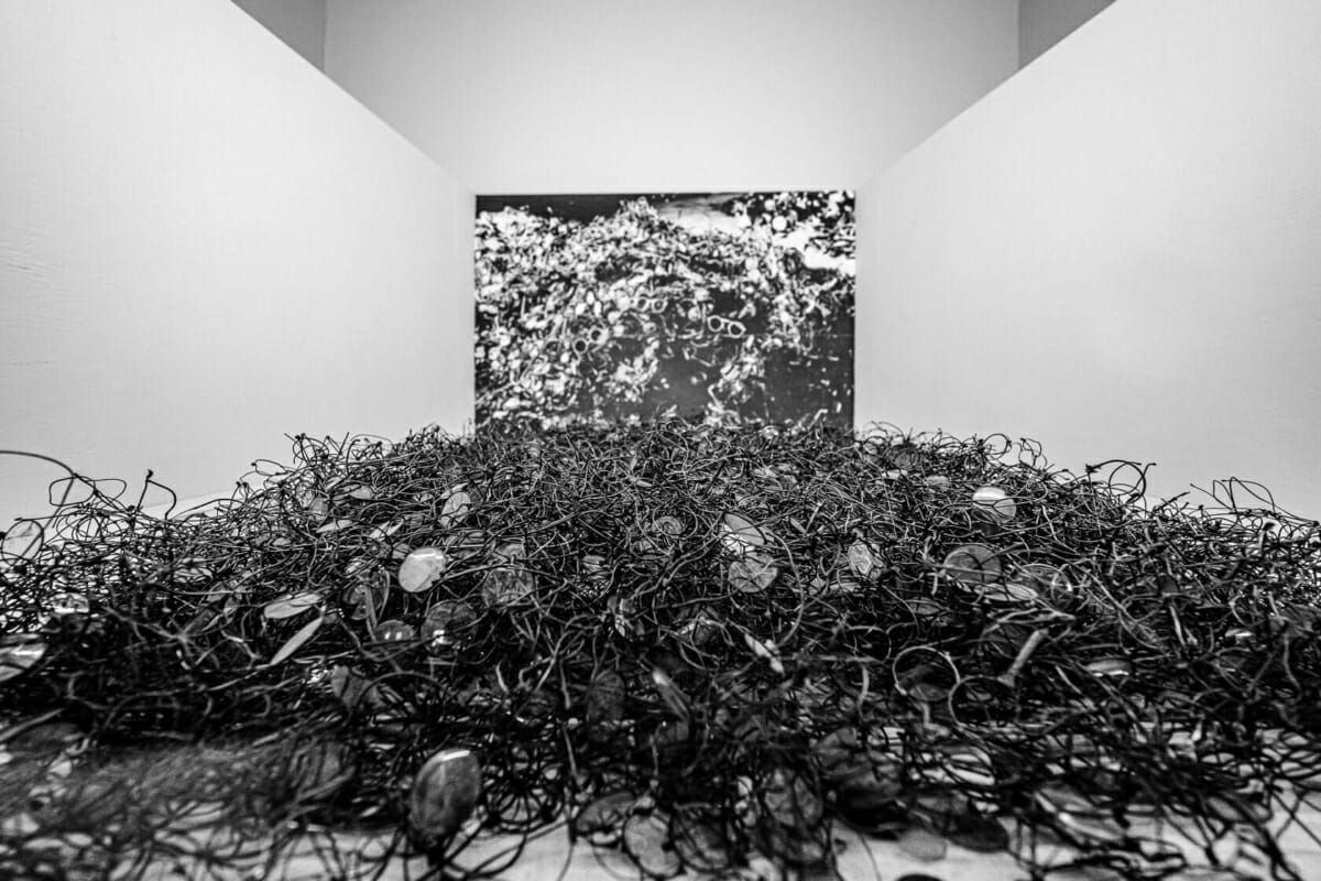 Confiscated Spectacles Confiscated Spectacles - Auschwitz and Birkenau Concentration Camps