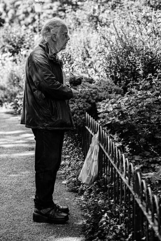 Pigeon Whisperer Pigeon Whisperer - Summer 2021 - Brighton Street Photography