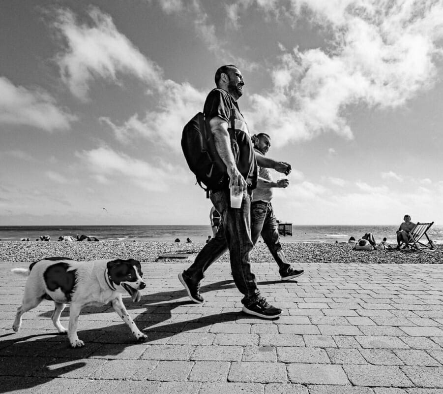 Dog Walking Dog Walking - Brighton Street Photography - Beach and Seafront 2020