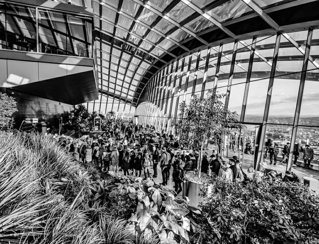 Sky Garden Sky Garden - The Walkie Talkie - London Street Photography