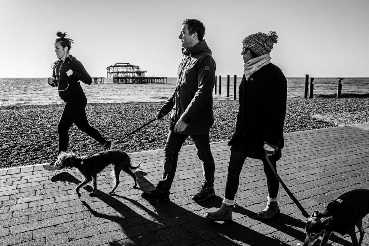 Dogs and Joggers Dogs and Joggers - Winter 2021/22 - Brighton Street Photography