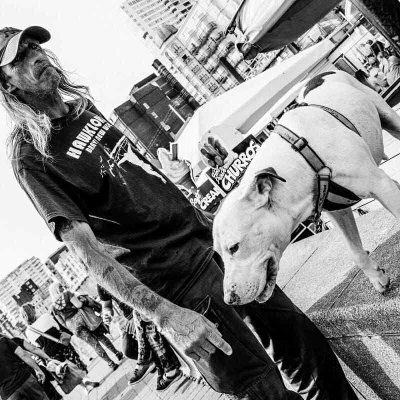 Mans Best Friend Mans Best Friend - Summer 2022 - Brighton Street Photography