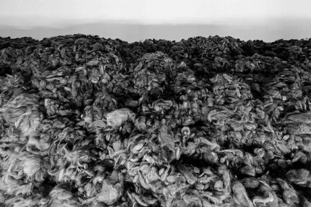 Harvested Human Hair Harvested Human Hair - Auschwitz and Birkenau Concentration Camps