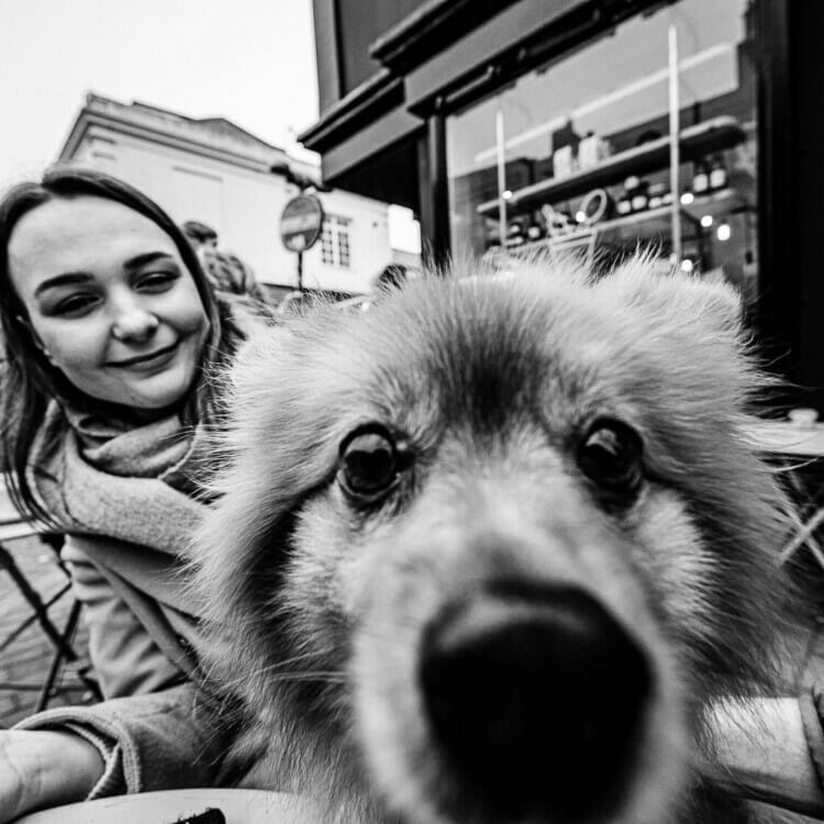 Dogs Life - Dynamic Street Photography - Brighton