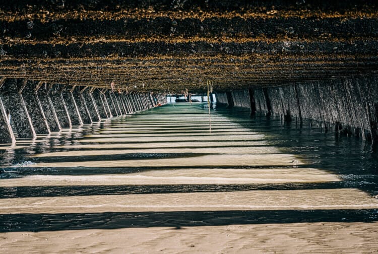 Inside Newhaven Harbour East Arm at Low Tide