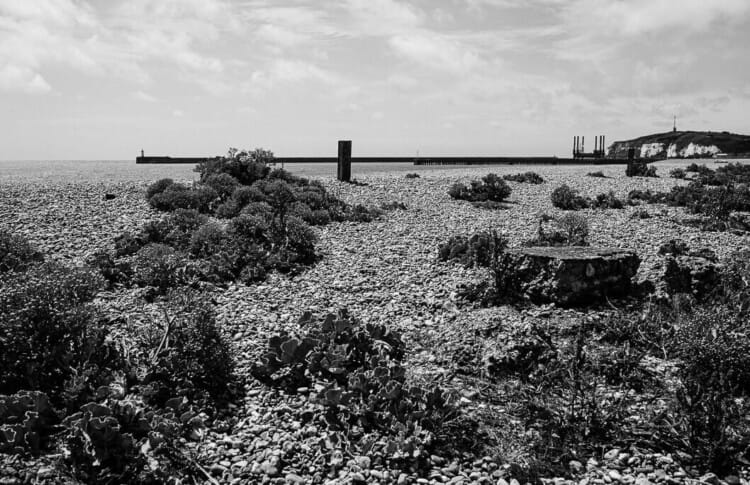 Looking west towards Newhaven Harbour