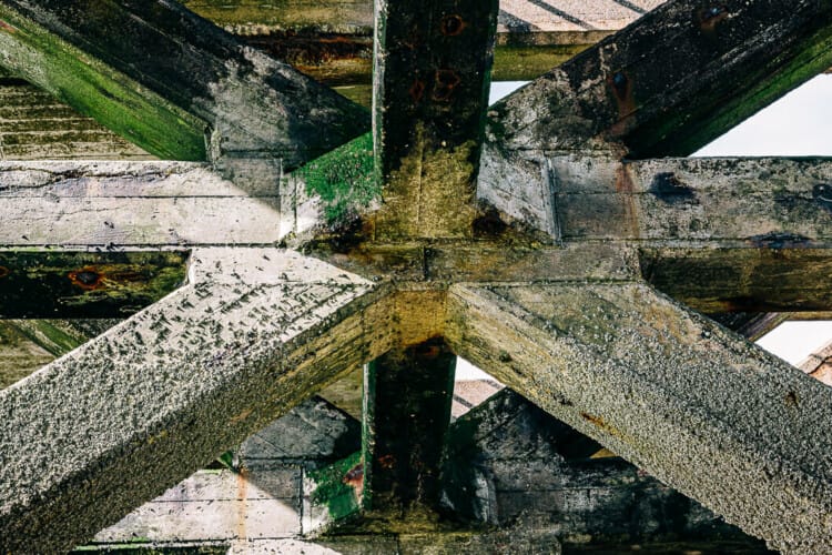 More Inside Newhaven Harbour East Arm at Low Tide