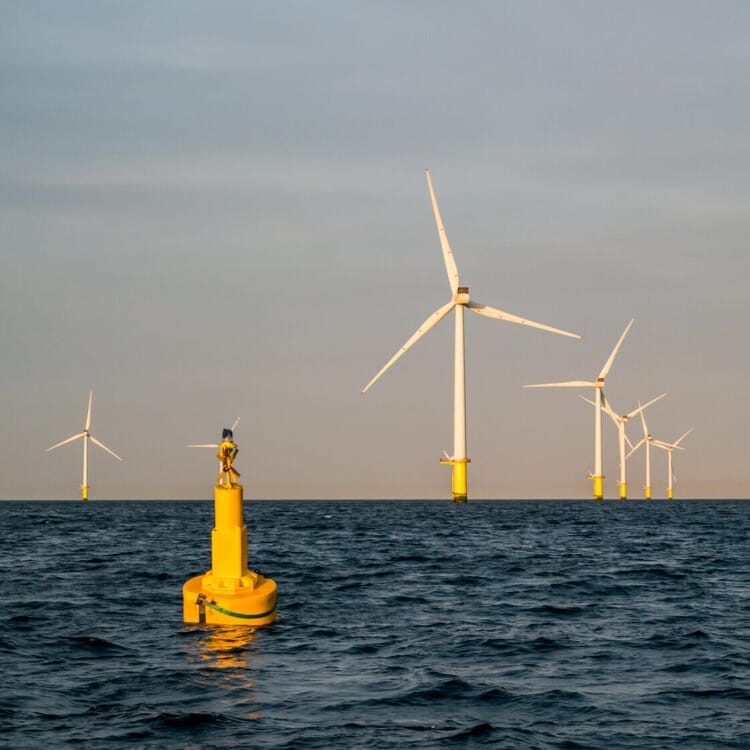 Rampion Farm - 116 Turbines