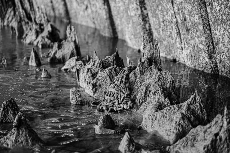 Tide Worn - Newhaven Harbour East Arm at Low Tide