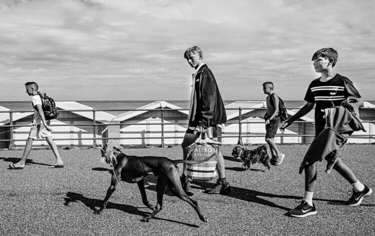 Walking the Dogs - Eastbourne Street Photography - August 2020
